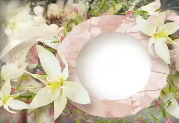 Foto Effekt från kategori Kvinna Fotoramar № 114219 Foto Effekt från kategori Kvinna Fotoramar № 114219