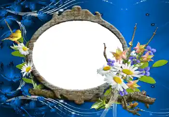 Foto Effekt från kategori Kvinna Fotoramar № 114227 Foto Effekt från kategori Kvinna Fotoramar № 114227