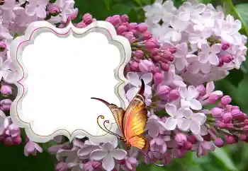 Foto Effekt från kategori Kvinna Fotoramar № 114264 Foto Effekt från kategori Kvinna Fotoramar № 114264