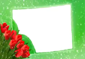 Foto Effekt från kategori Kvinna Fotoramar № 114275 Foto Effekt från kategori Kvinna Fotoramar № 114275