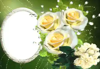 Foto Effekt från kategori Kvinna Fotoramar № 114330 Foto Effekt från kategori Kvinna Fotoramar № 114330