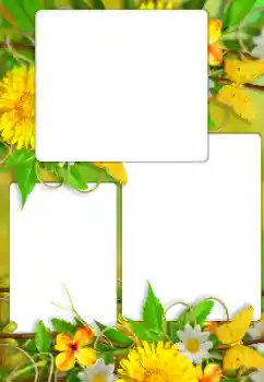 Foto Effekt från kategori Kvinna Fotoramar № 114738 Foto Effekt från kategori Kvinna Fotoramar № 114738