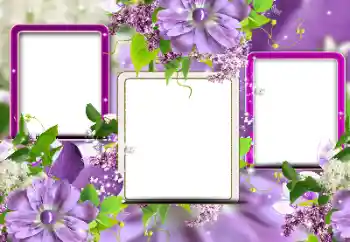 Foto Effekt från kategori Kvinna Fotoramar № 116124 Foto Effekt från kategori Kvinna Fotoramar № 116124