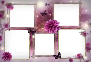 Foto Effekt från kategori Kvinna Fotoramar № 116128 Foto Effekt från kategori Kvinna Fotoramar № 116128