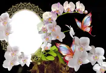 Foto Effekt från kategori Kvinna Fotoramar № 117349 Foto Effekt från kategori Kvinna Fotoramar № 117349