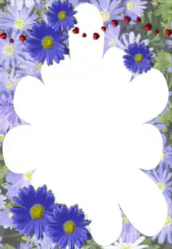 Foto Effekt från kategori Kvinna Fotoramar № 117528 Foto Effekt från kategori Kvinna Fotoramar № 117528