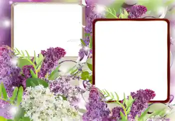 Foto Effekt från kategori Kvinna Fotoramar № 121086 Foto Effekt från kategori Kvinna Fotoramar № 121086