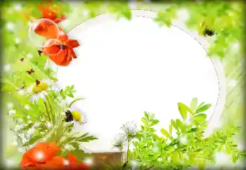 Foto Effekt från kategori Kvinna Fotoramar № 121087 Foto Effekt från kategori Kvinna Fotoramar № 121087