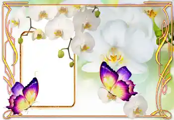 Foto Effekt från kategori Kvinna Fotoramar № 123218 Foto Effekt från kategori Kvinna Fotoramar № 123218