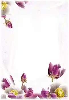 Foto Effekt från kategori Kvinna Fotoramar № 124368 Foto Effekt från kategori Kvinna Fotoramar № 124368