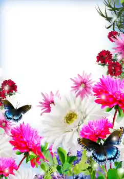 Foto Effekt från kategori Kvinna Fotoramar № 125845 Foto Effekt från kategori Kvinna Fotoramar № 125845