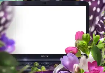 Foto Effekt från kategori Kvinna Fotoramar № 125847 Foto Effekt från kategori Kvinna Fotoramar № 125847