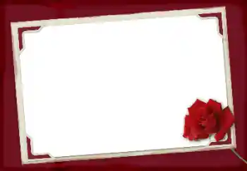 Foto Effekt från kategori Kvinna Fotoramar № 125924 Foto Effekt från kategori Kvinna Fotoramar № 125924