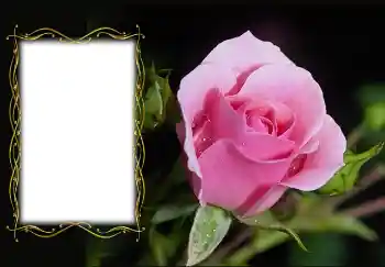 Foto Effekt från kategori Kvinna Fotoramar № 126936 Foto Effekt från kategori Kvinna Fotoramar № 126936