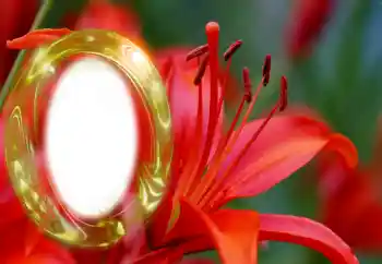 Foto Effekt från kategori Kvinna Fotoramar № 126945 Foto Effekt från kategori Kvinna Fotoramar № 126945