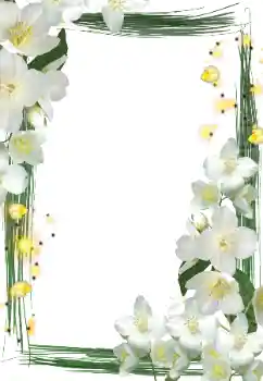 Foto Effekt från kategori Kvinna Fotoramar № 127290 Foto Effekt från kategori Kvinna Fotoramar № 127290