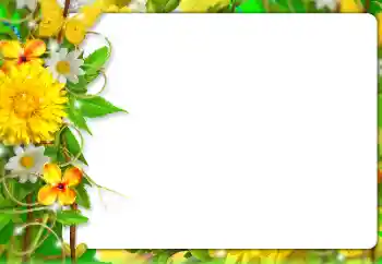 Foto Effekt från kategori Kvinna Fotoramar № 127303 Foto Effekt från kategori Kvinna Fotoramar № 127303