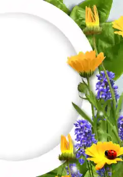 Foto Effekt från kategori Kvinna Fotoramar № 128372 Foto Effekt från kategori Kvinna Fotoramar № 128372