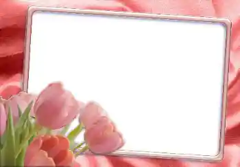 Foto Effekt från kategori Kvinna Fotoramar № 12865