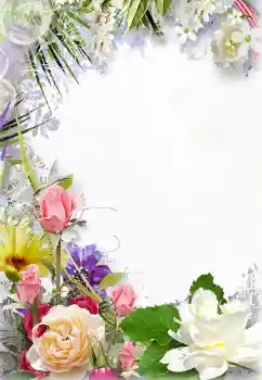 Foto Effekt från kategori Kvinna Fotoramar № 131210 Foto Effekt från kategori Kvinna Fotoramar № 131210