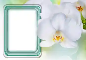 Foto Effekt från kategori Kvinna Fotoramar № 131485