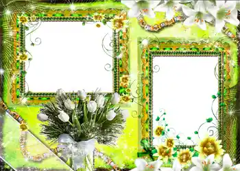 Foto Effekt från kategori Kvinna Fotoramar № 1316