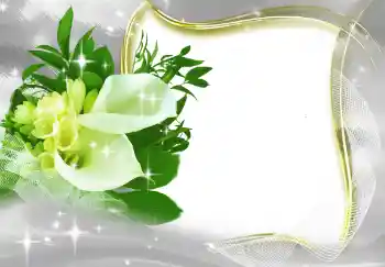 Foto Effekt från kategori Kvinna Fotoramar № 131819