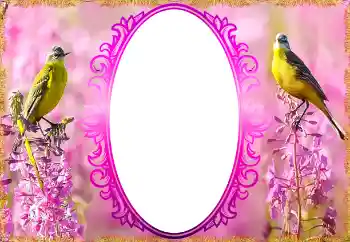 Foto Effekt från kategori Kvinna Fotoramar № 132879