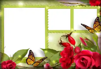 Foto Effekt från kategori Kvinna Fotoramar № 134497