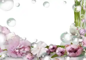 Foto Effekt från kategori Kvinna Fotoramar № 139757