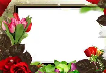 Foto Effekt från kategori Kvinna Fotoramar № 139912