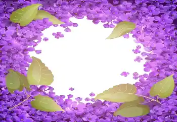 Foto Effekt från kategori Kvinna Fotoramar № 141055