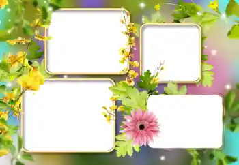 Foto Effekt från kategori Kvinna Fotoramar № 141134