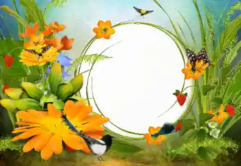 Foto Effekt från kategori Kvinna Fotoramar № 142333