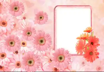 Foto Effekt från kategori Kvinna Fotoramar № 143633 Foto Effekt från kategori Kvinna Fotoramar № 143633