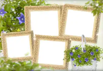 Foto Effekt från kategori Kvinna Fotoramar № 143738 Foto Effekt från kategori Kvinna Fotoramar № 143738