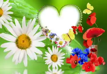 Foto Effekt från kategori Kvinna Fotoramar № 143780