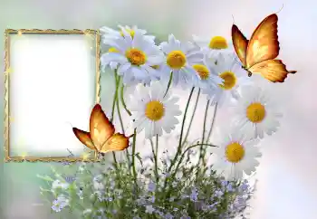 Foto Effekt från kategori Kvinna Fotoramar № 145117