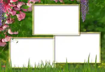 Foto Effekt från kategori Kvinna Fotoramar № 146298