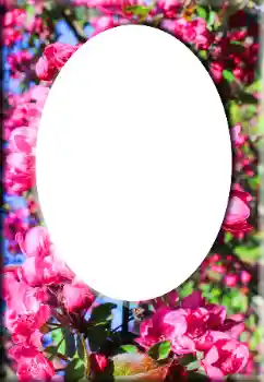 Foto Effekt från kategori Kvinna Fotoramar № 147641 Foto Effekt från kategori Kvinna Fotoramar № 147641