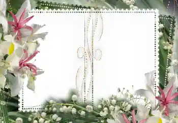 Foto Effekt från kategori Kvinna Fotoramar № 15027 Foto Effekt från kategori Kvinna Fotoramar № 15027