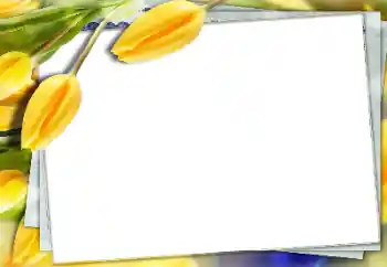 Foto Effekt från kategori Kvinna Fotoramar № 150591