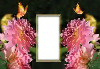 Foto Effekt från kategori Kvinna Fotoramar № 150649