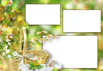 Foto Effekt från kategori Kvinna Fotoramar № 151667