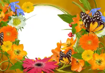 Foto Effekt från kategori Kvinna Fotoramar № 152894 Foto Effekt från kategori Kvinna Fotoramar № 152894