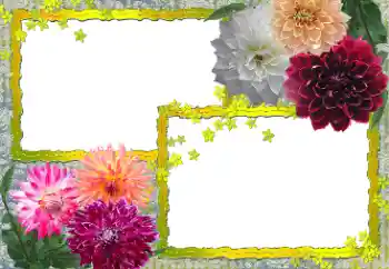 Foto Effekt från kategori Kvinna Fotoramar № 154361