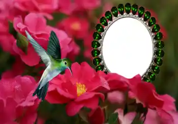 Foto Effekt från kategori Kvinna Fotoramar № 154585