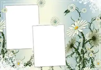 Foto Effekt från kategori Kvinna Fotoramar № 154786