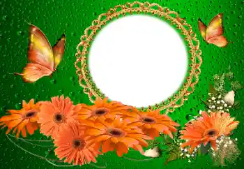 Foto Effekt från kategori Kvinna Fotoramar № 155817 Foto Effekt från kategori Kvinna Fotoramar № 155817