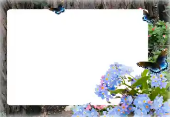 Foto Effekt från kategori Kvinna Fotoramar № 155873